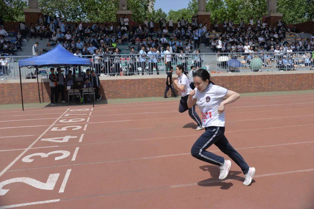 壮举频现，赛场上竞技精神令人感动的简单介绍